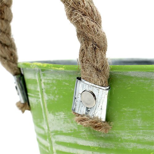 Floristik24 Skopfjädergrön Ø25cm H24cm 2st