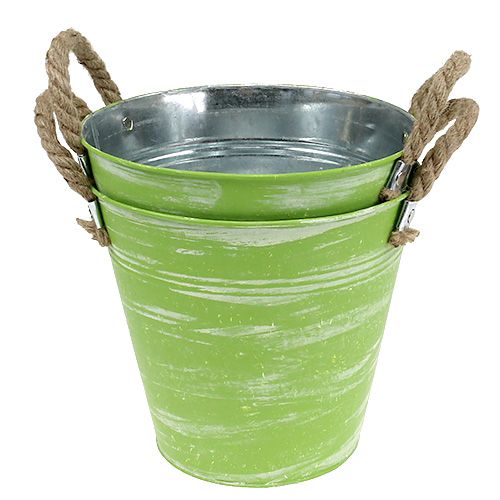Floristik24 Skopfjädergrön Ø25cm H24cm 2st