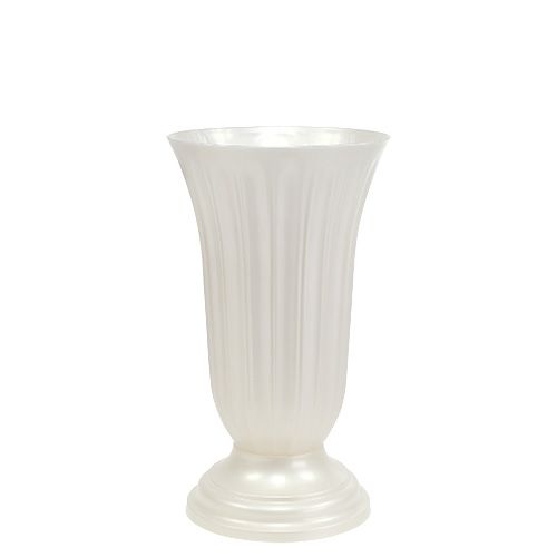 Floristik24 Lilia pärlemorvas Ø16cm, 1 st
