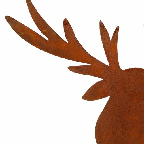 Floristik24 Älgpatina till sticka H58cm