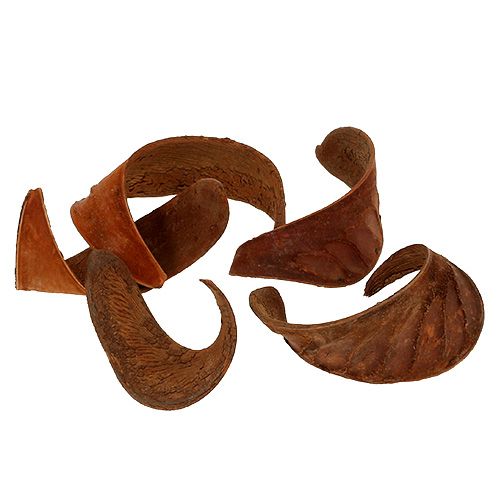 Elephant Ear Natural 25 st