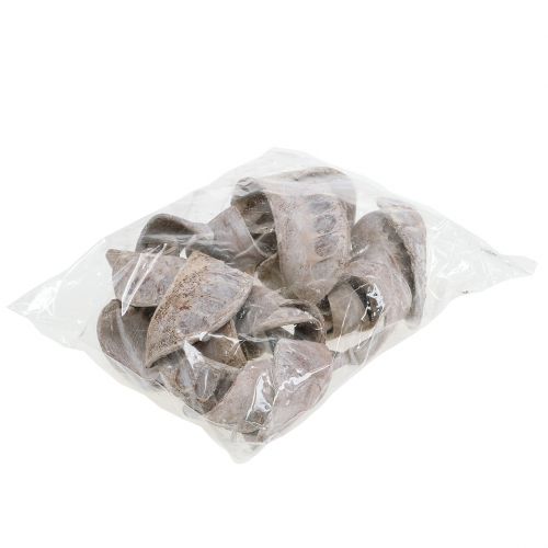 Artikel Elephant Ear White tvättad 25 st