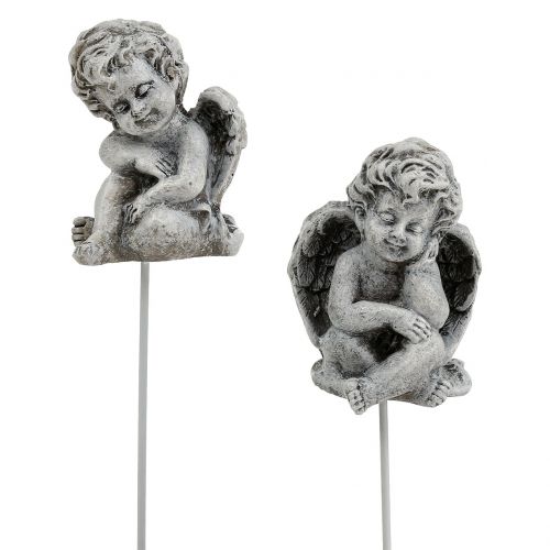 Artikel Ängelgrå som plugg 5cm - 5,5cm 8 st