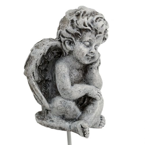Artikel Ängelgrå som plugg 5cm - 5,5cm 8 st