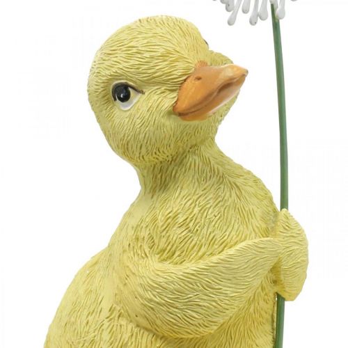 Floristik24 Vårdekoration, ankungar med maskros, dekorativ figur H13,5cm