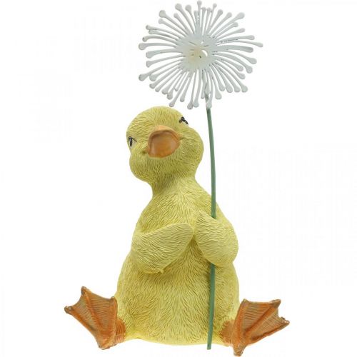 Floristik24 Vårdekoration, ankungar med maskros, dekorativ figur H13,5cm
