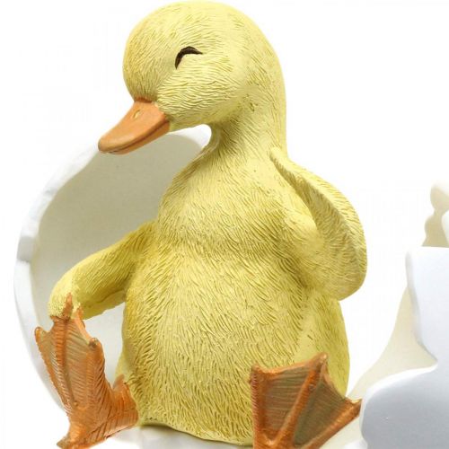 Floristik24 Kläckt kyckling, ankfigur, ankunge i ägg H10cm B12,5cm