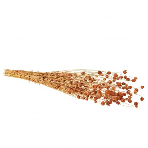 Artikel Jordgubbstistel torkade blommor tistel dekoration terrakotta 68cm 100g