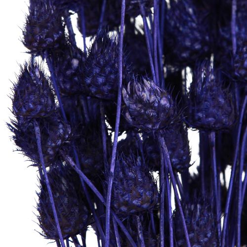 Artikel Jordgubbstistel Torrtisteltistel Dekoration Violett 44-58cm 100g