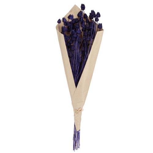 Artikel Jordgubbstistel Torrtisteltistel Dekoration Violett 44-58cm 100g
