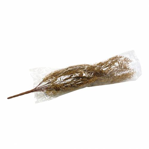 Floristik24 Dekorativ ljunggren, ljungul, brun H50cm