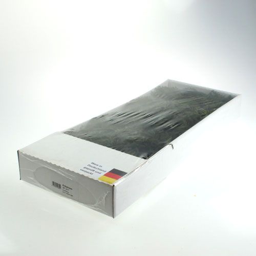 Floristik24 Erikamoos grön 750gr