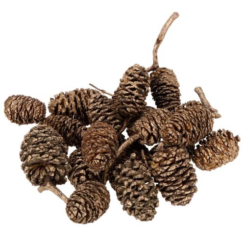 Alkottar, naturprodukt för dekoration och hantverk, guld, 3 cm, 300 g