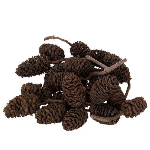 Naturliga alkottar, lösa, för dekoration, 3 cm, 300 g, naturbrun.