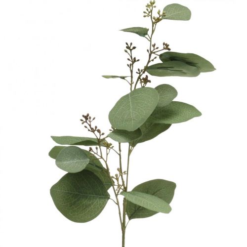 Floristik24 Konstgjord deco gren eukalyptus med knoppar konstgjord växt 60cm