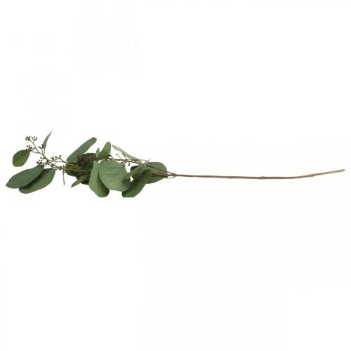 Floristik24 Konstgjord deco gren eukalyptus med knoppar konstgjord växt 60cm