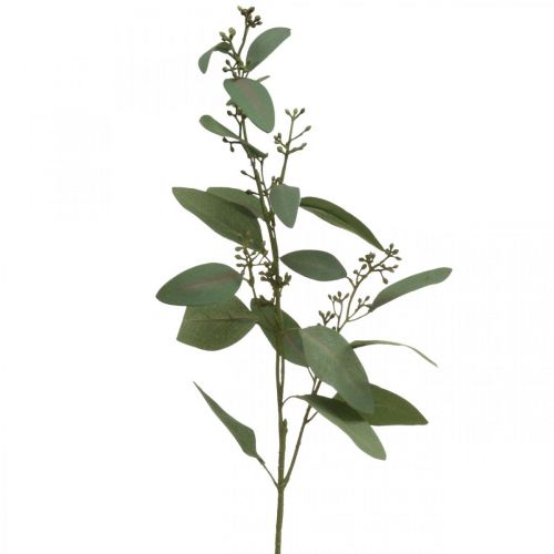 Floristik24 Konstgjord eukalyptusgren med knoppar deco gren 60cm