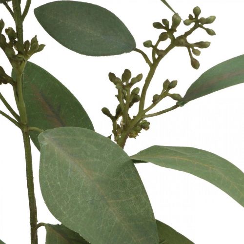 Floristik24 Konstgjord eukalyptusgren med knoppar deco gren 60cm
