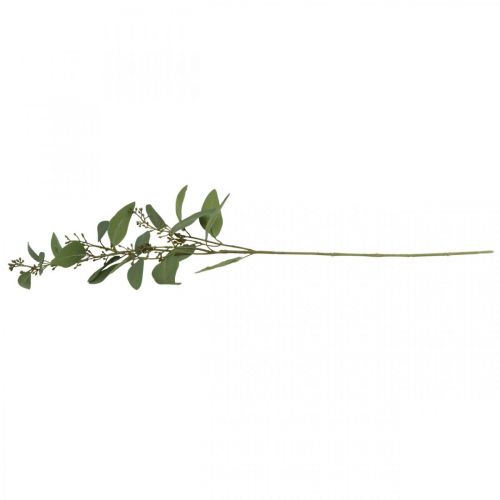 Floristik24 Konstgjord eukalyptusgren med knoppar deco gren 60cm