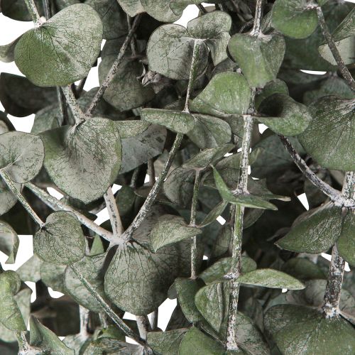 Artikel Eucalyptus Konserverade Grenar Blad Rund Grön 150g