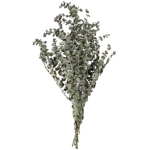 Artikel Eucalyptus Konserverade Grenar Blad Rund Grön 150g