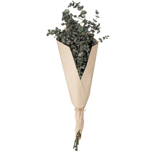Artikel Eucalyptus Konserverade Grenar Blad Rund Grön 150g