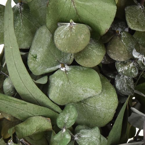 Artikel Eukalyptuskrans naturlig krans eukalyptus konserverad Ø35cm