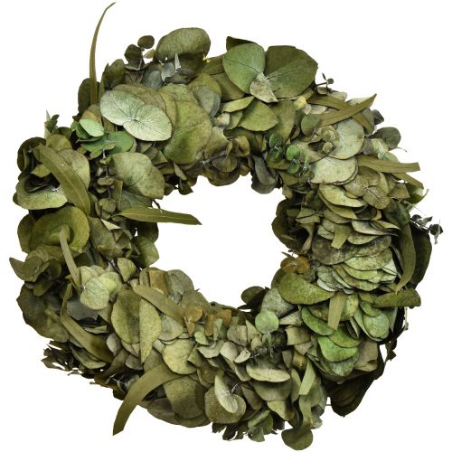 Floristik24 Eukalyptuskrans naturlig krans eukalyptus konserverad Ø35cm