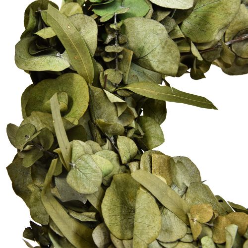 Floristik24 Eukalyptuskrans naturlig krans eukalyptus konserverad Ø35cm