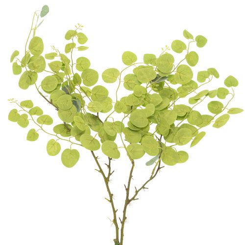 Artikel Dekorativ eukalyptusgren, idealisk bordsdekoration, 120 cm