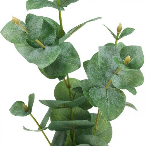 Floristik24 Eukalyptusgren Konstgjord grön växt Eucalyptus Deco 75cm