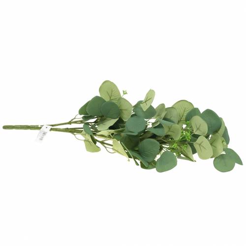 Floristik24 Eukalyptusgren 52cm