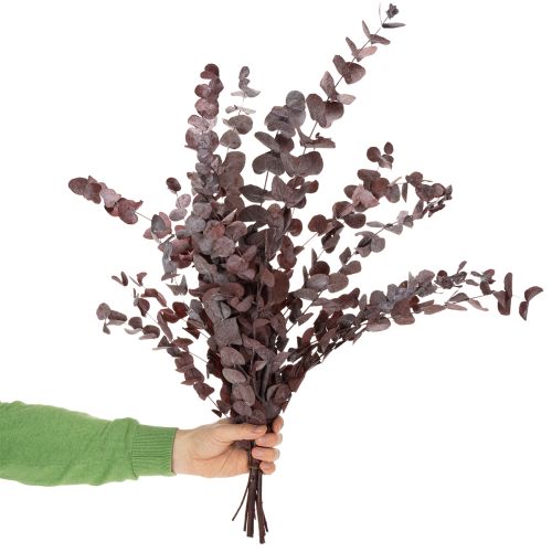 Artikel Eukalyptusgrenar, konserverad eukalyptus, torkade blommor, röda, 75 cm, 150 g