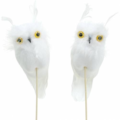 Floristik24 Dekorativ plugguggla vit 10cm 2st