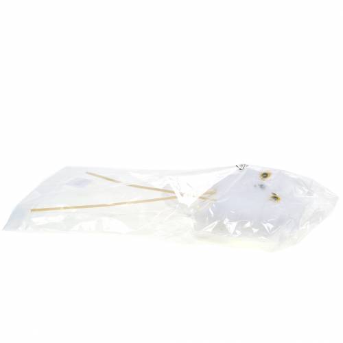 Floristik24 Dekorativ plugguggla vit 10cm 2st