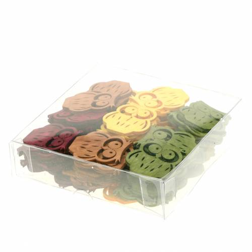 Floristik24 Scatter dekoration ugglor trä blandade färger 4cm 72 st
