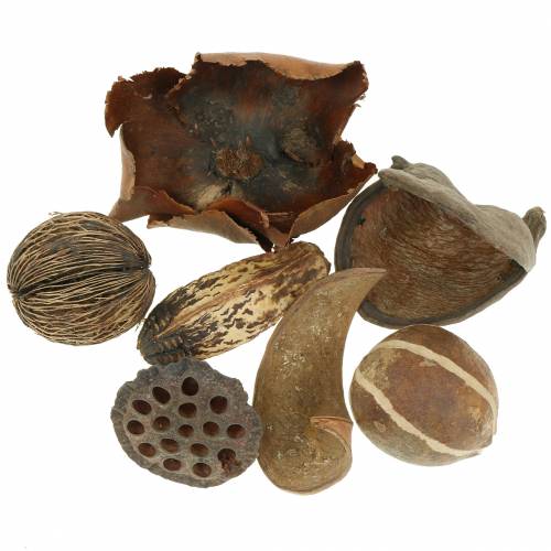 Floristik24 Exotisk sortiment i 200g netto