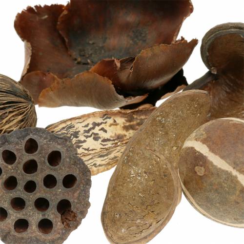 Floristik24 Exotisk sortiment i 200g netto