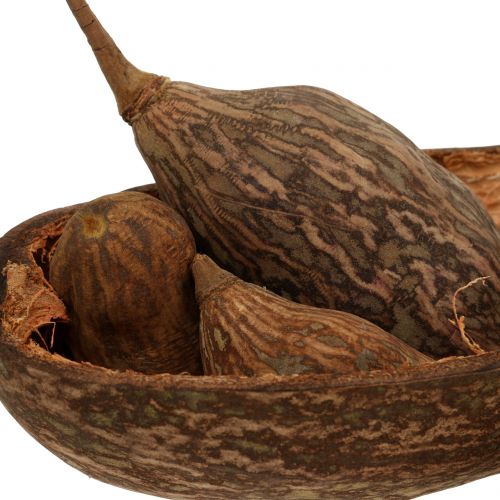 Floristik24 Baobab fruktblandning med skal 300g