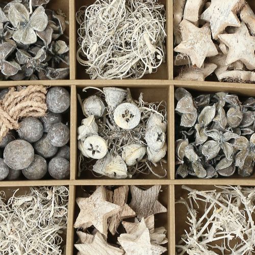 Floristik24 Exotisk blandning tvättad vit