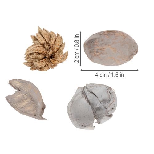 Artikel Potpurri-borddekoration med nötter för en naturlig sommaratmosfär