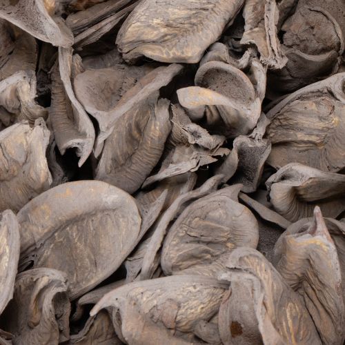 Artikel Potpurri-borddekoration med nötter för en naturlig sommaratmosfär