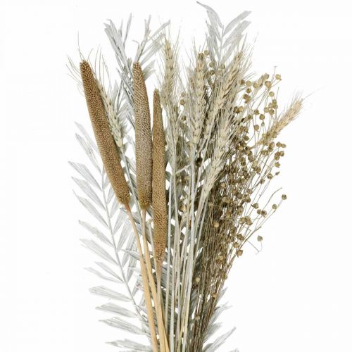 Floristik24 Torkade blommor DIY Box Exotisk torr bukett Vit, naturlig H55cm