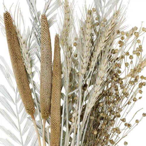 Floristik24 Torkade blommor DIY Box Exotisk torr bukett Vit, naturlig H55cm