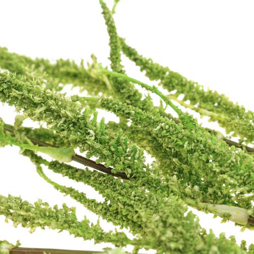 Floristik24 Amaranth Green Cascade Foxtail Konstgjord växt Grön 95cm