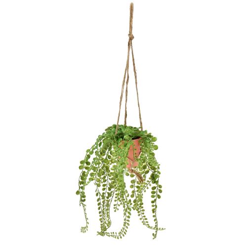 Floristik24 Konstgjorda suckulenter i kruka Sedum hängande korg 34cm
