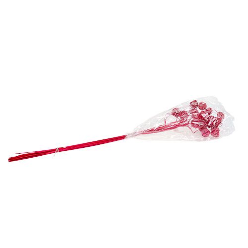 Floristik24 Fancy Ting Ting rosa 25 st