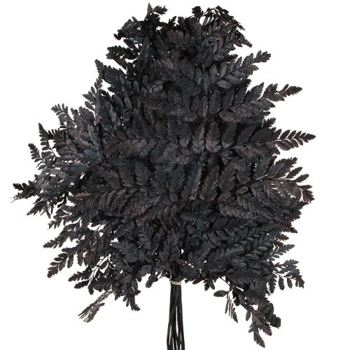 Artikel Ormbunksdekoration Äkta ormbunksblad Svart Konserverad 45cm 10 st