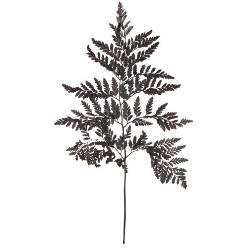 Artikel Ormbunksdekoration Äkta ormbunksblad Svart Konserverad 45cm 10 st