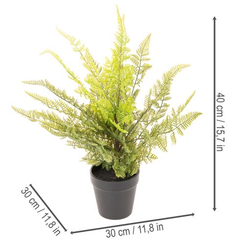 Konstgjord ormbunke i kruka för inomhusbruk, 40 cm | Floristik24.se